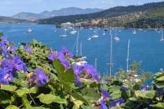 Aegina 