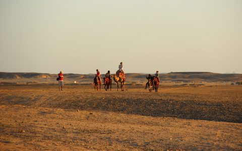 woestijn excursie