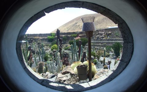 bij Jardin de Cactus