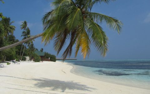 Meeru Island