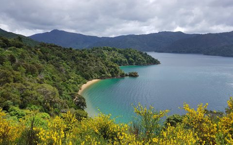 Queen Charlotte Drive