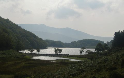 natuur in Wales