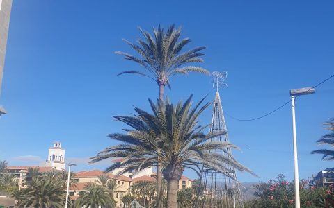 Gran Canaria