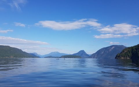 Whale watch