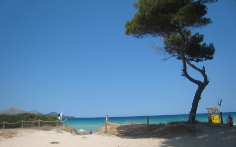 Strand Playa de Muro