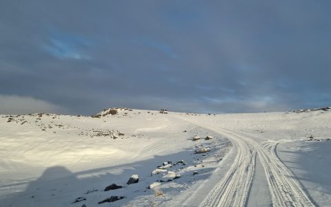 Ijsland Mayke 5